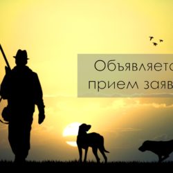 В сентябре стартует III Открытый республиканский фестиваль-конкурс «Охотники Чувашии-2022». Приглашаем всех к участию!