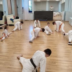 КАРАТЕ WKC