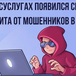 Как не дать себя обмануть: на Госуслугах появился новый сервис защиты от мошенников
