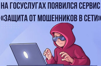 Как не дать себя обмануть: на Госуслугах появился новый сервис защиты от мошенников